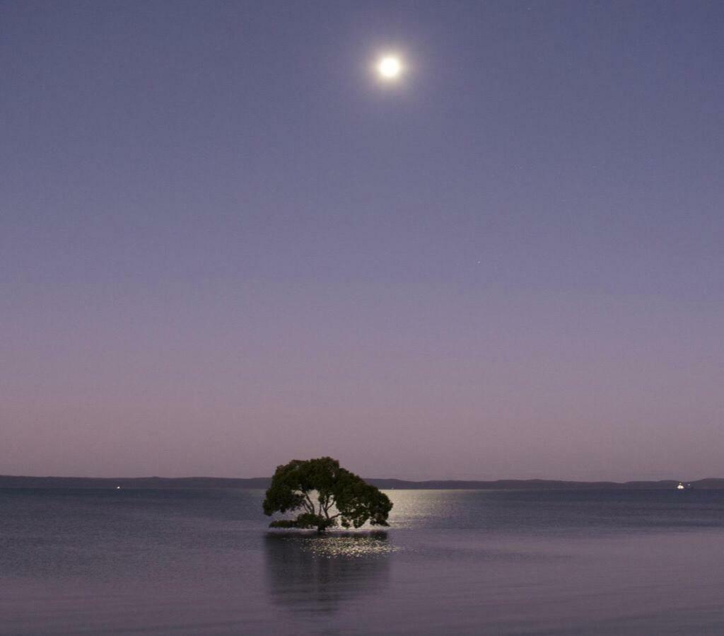 Moreton Bay Beach Apartment